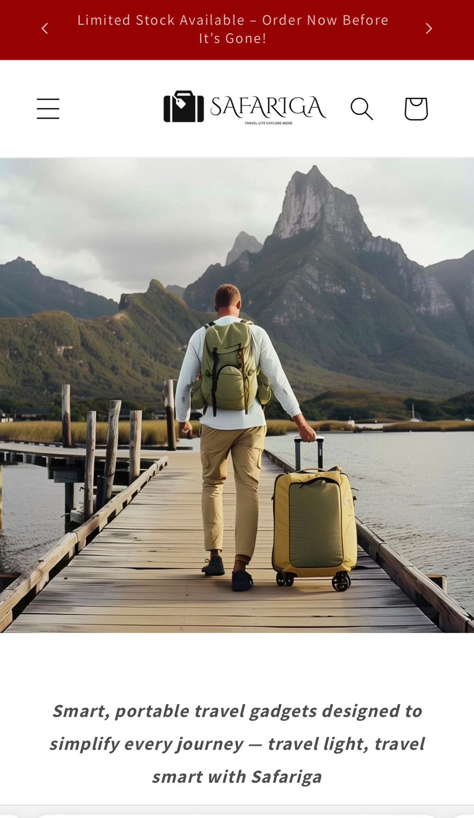 dropshipping website image